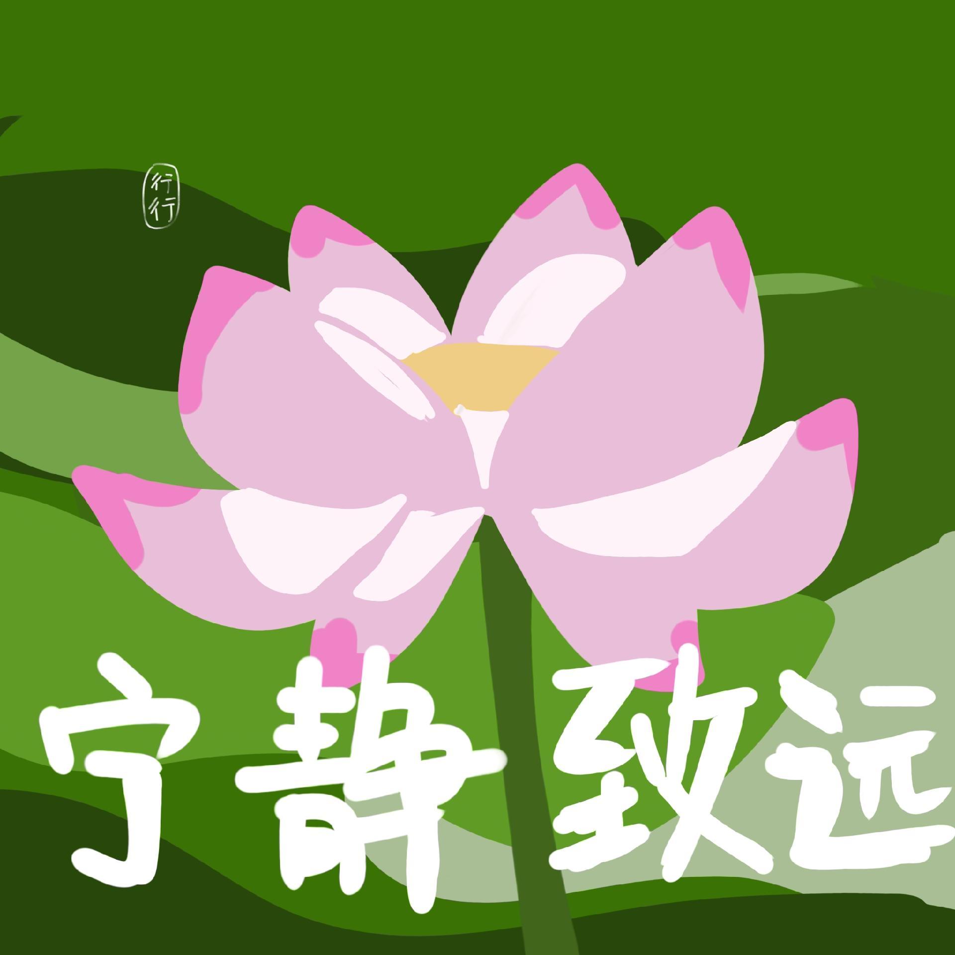 #妈妈喜欢的荷花头像上新了#快速融入家庭群，父母长辈看了直夸你品味高 ​​​
