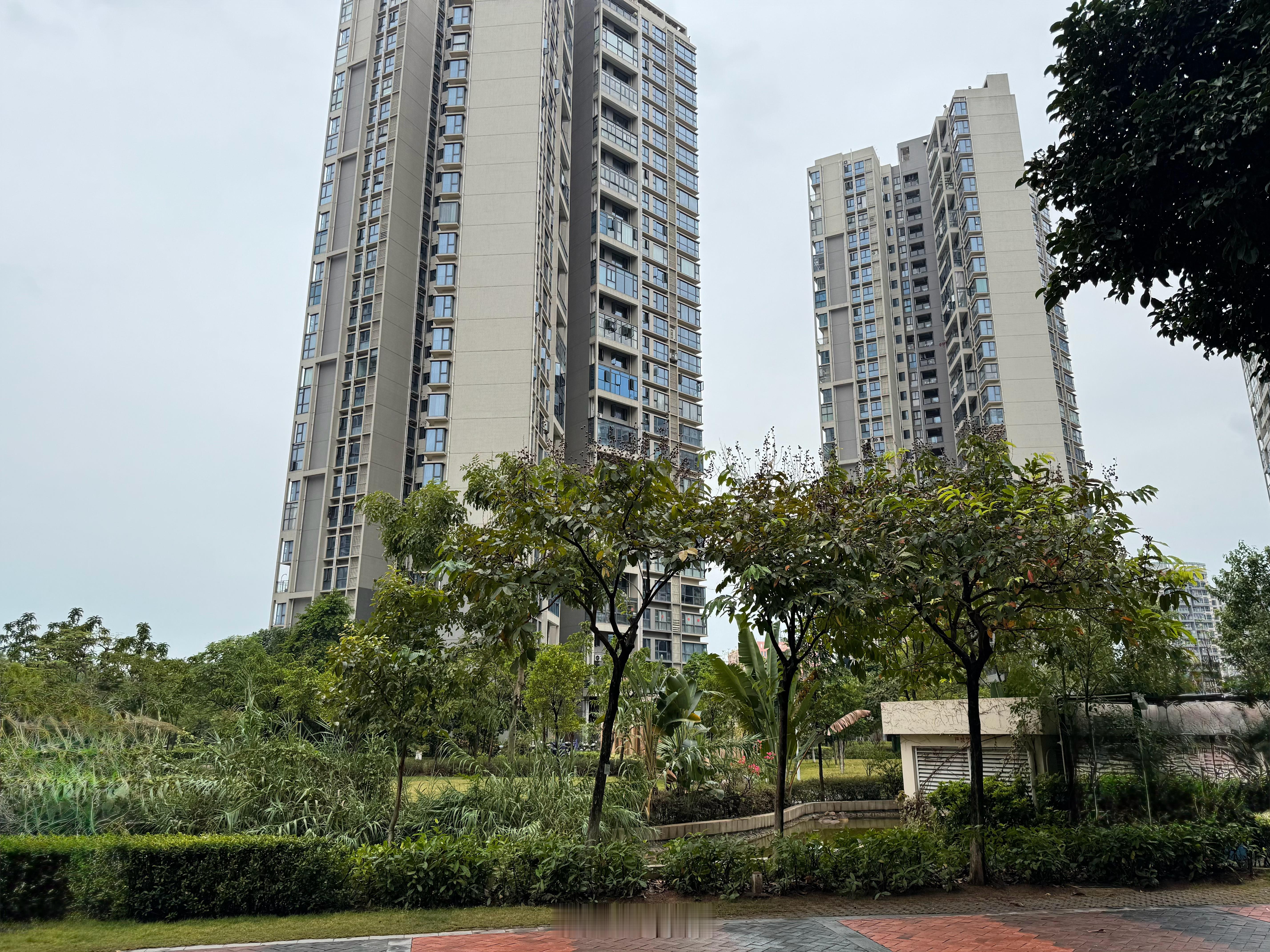 一场秋雨一场寒，深圳的盛夏是再也没了[允悲]  
