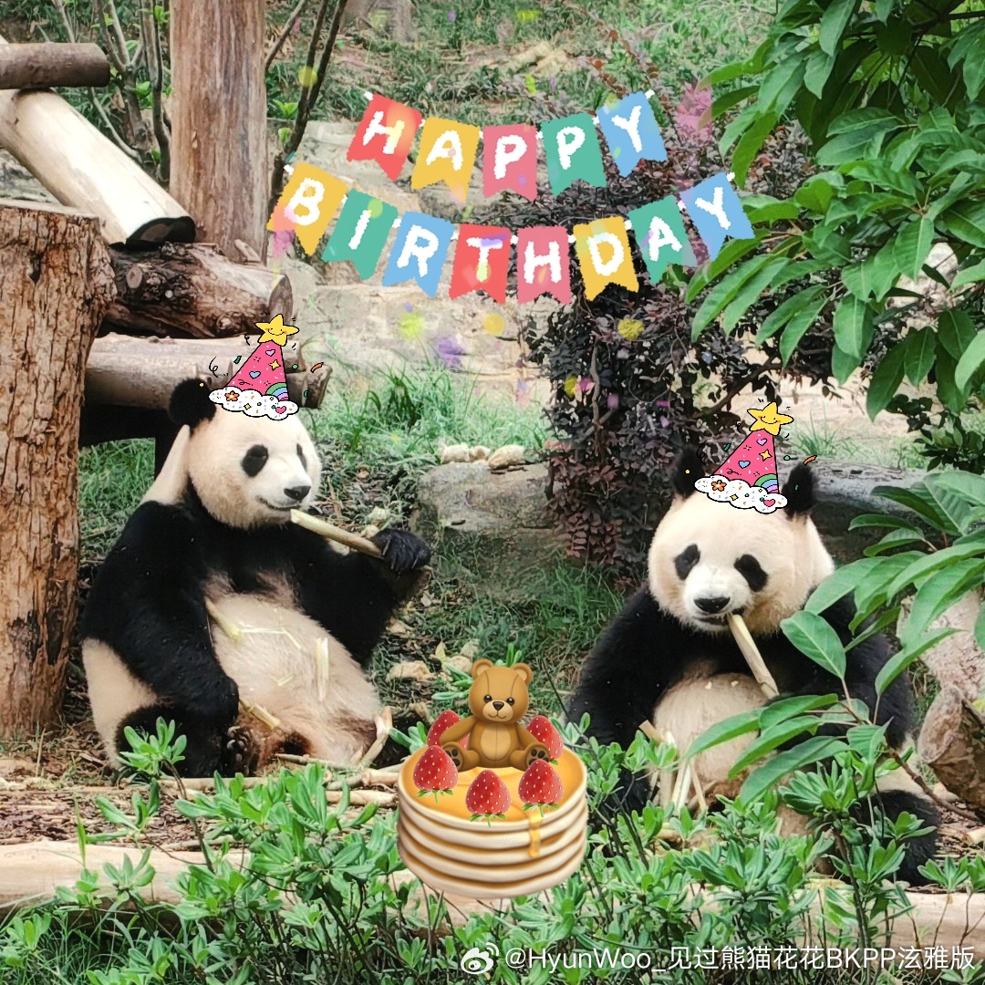 润玥艾玖六岁生日快乐呀～（图摄于2025.6.1）