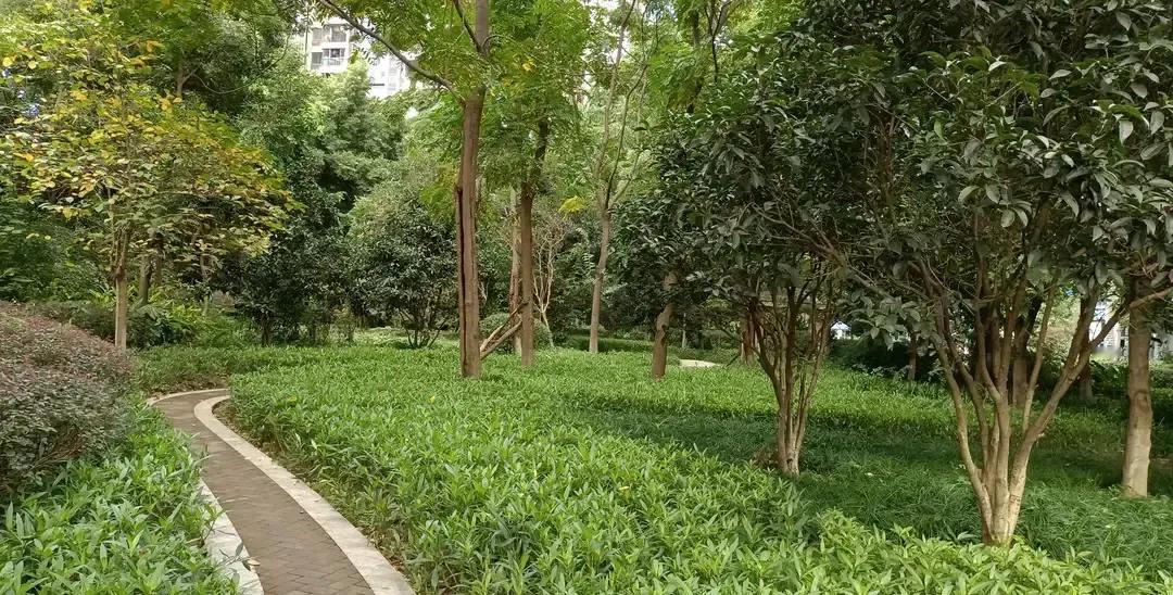 刷到一条短视频说念四句话就能治胃疼，我午饭正顶着胃胀，跟着嘟囔半天，疼没跑，反而