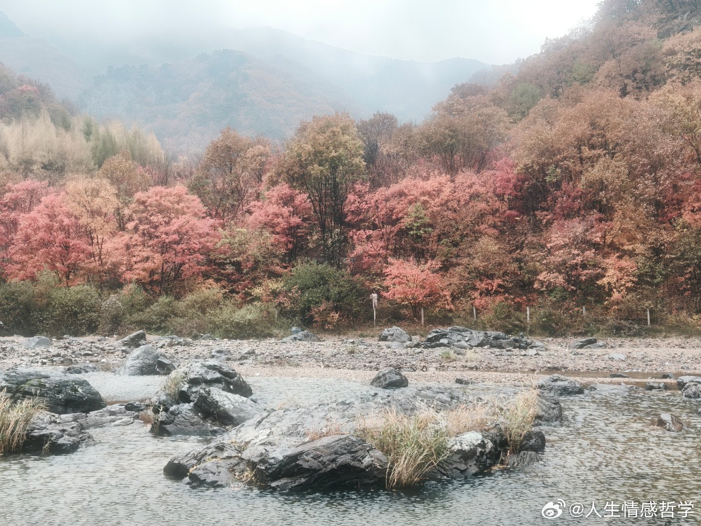 一年十二月，绿荫是春夏写下的温柔，寒霜是秋冬留下的痕迹。花开花落之间，四季已悄然