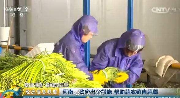 【#河南蒜薹3毛钱一斤还滞销#，白白丢弃在田间...】眼下是蒜薹集中上市的时节。