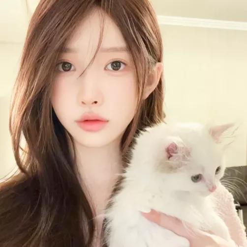 与白猫一起的温馨时光治愈之家的猫咪 两猫情感相处 白猫小宠物