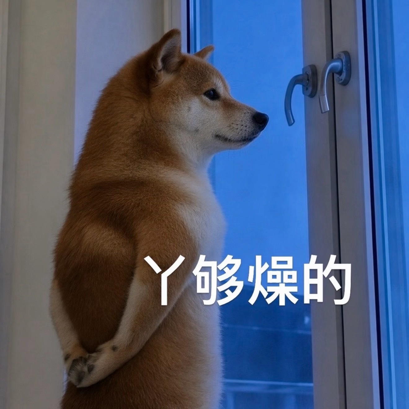 人一旦在有地铁的城市待过，在青岛呆久了之后，再回齐齐哈尔打出租有人拼车都不适应了