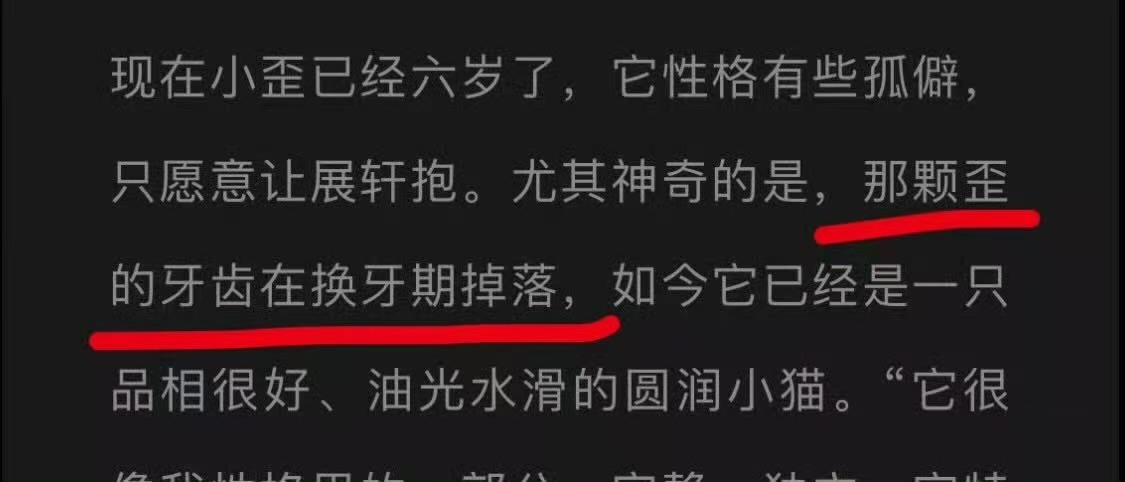好巧 刘铮的小歪牙也没有了 