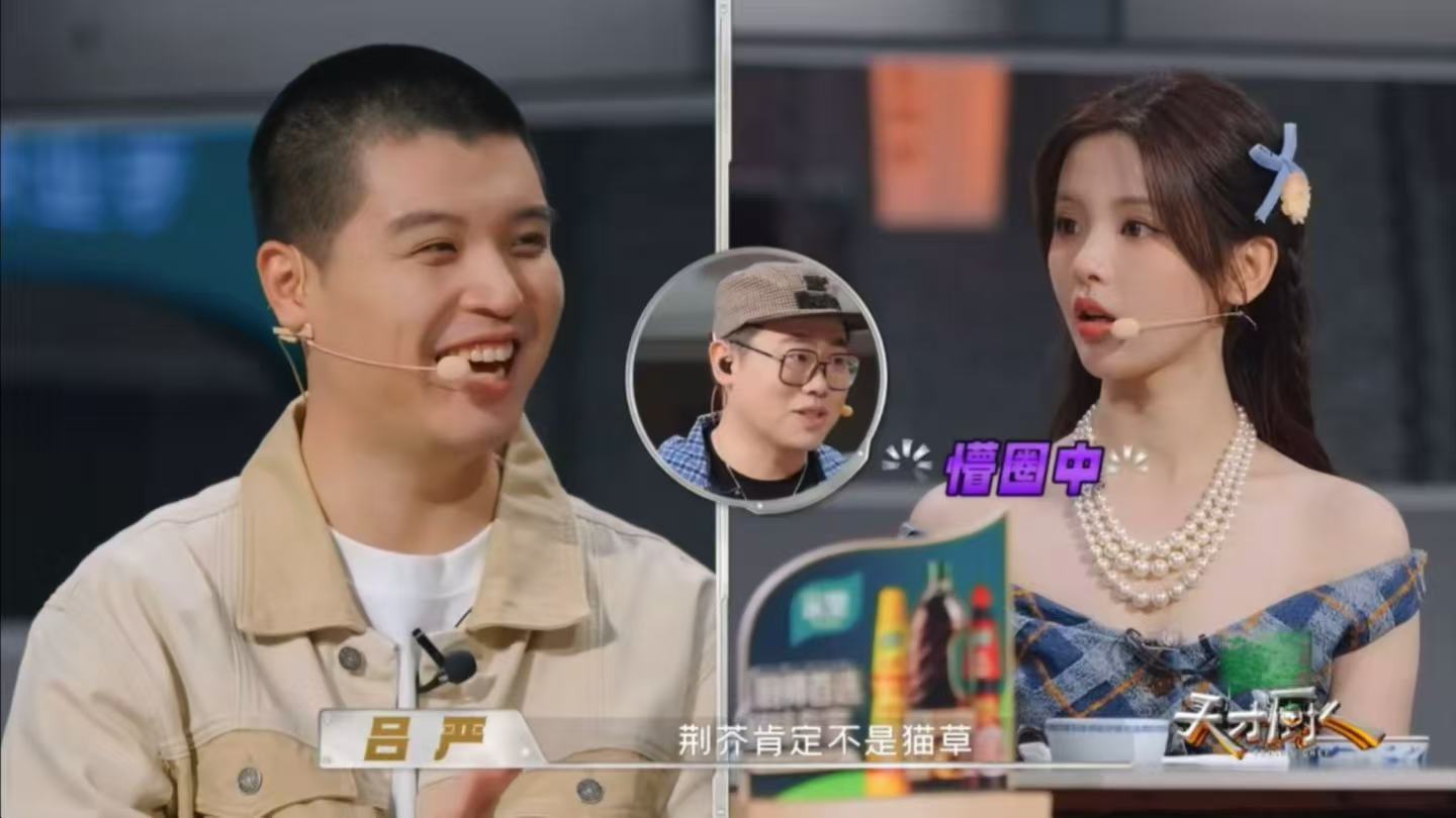 马頔叫杨超越妹妹马頔劝杨超越慎言天才厨人 杨超越脑洞很大，听完介绍直接将荆芥类比