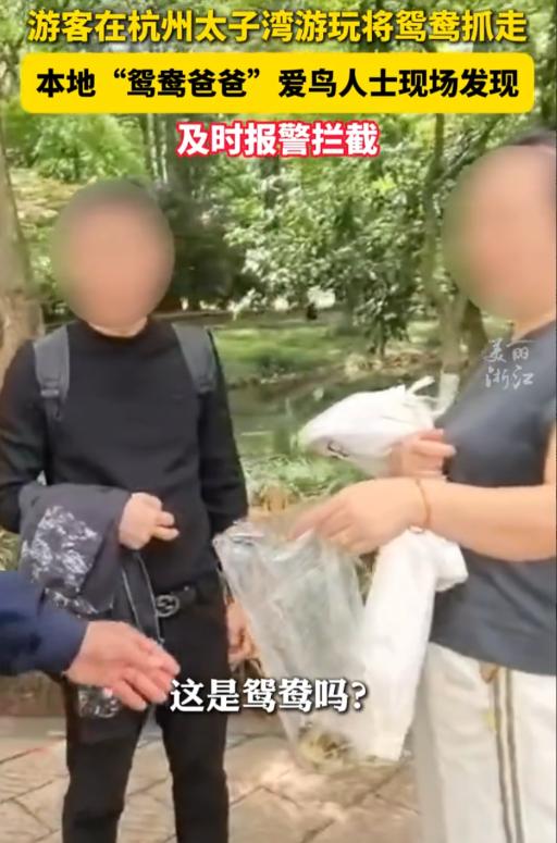 真是胆大包天！5月4日报道，杭州太子湾公园，一对中年夫妻闲逛途中突然俯身，迅速将