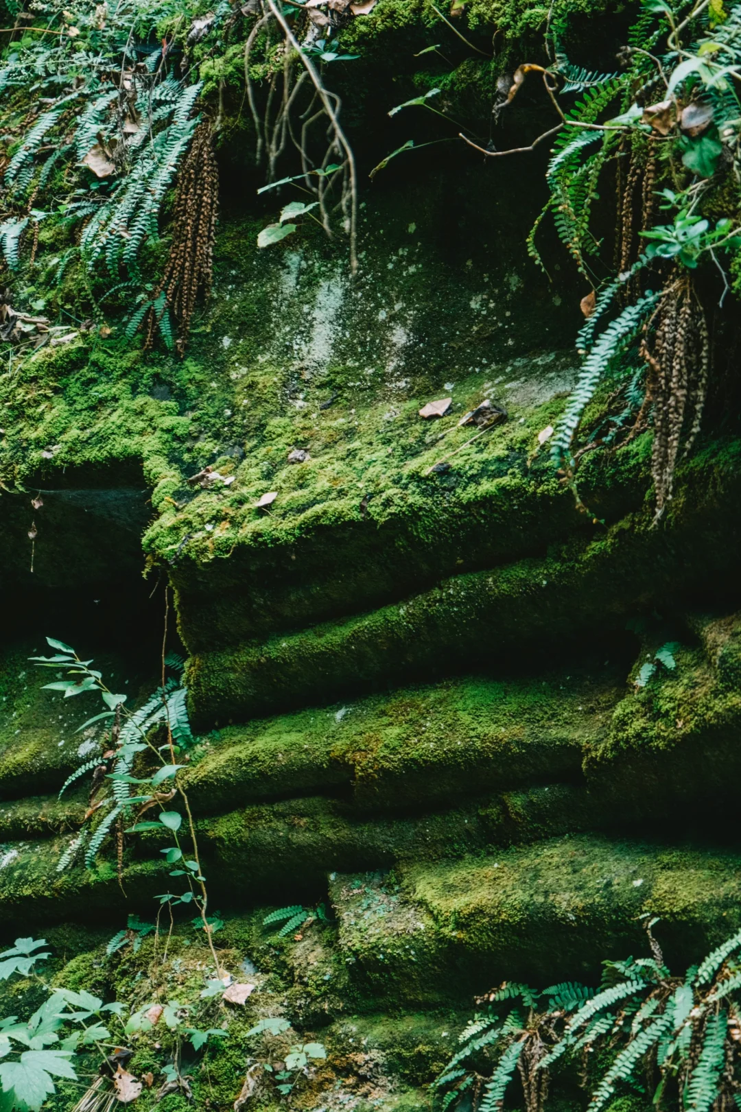 不是AI！我在陕西走进了地球里的梦境！