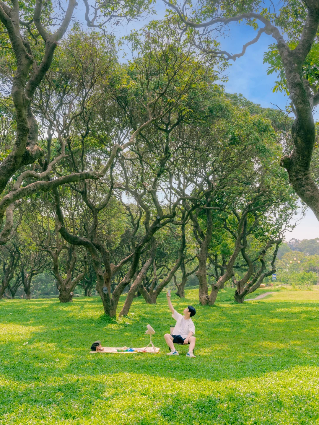 深圳这个公园，我能在这呆一整天‼️