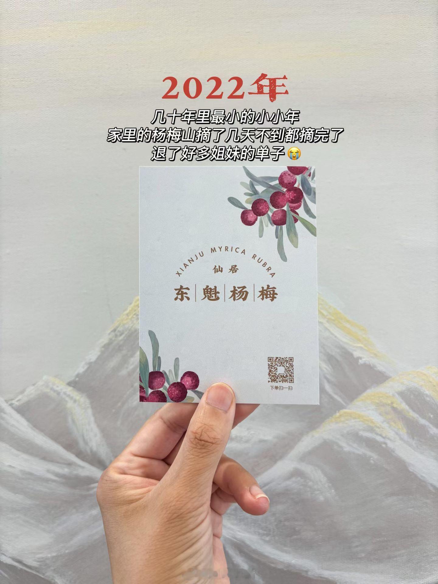 八年杨梅时光感恩每一份信任与陪伴❤️ 