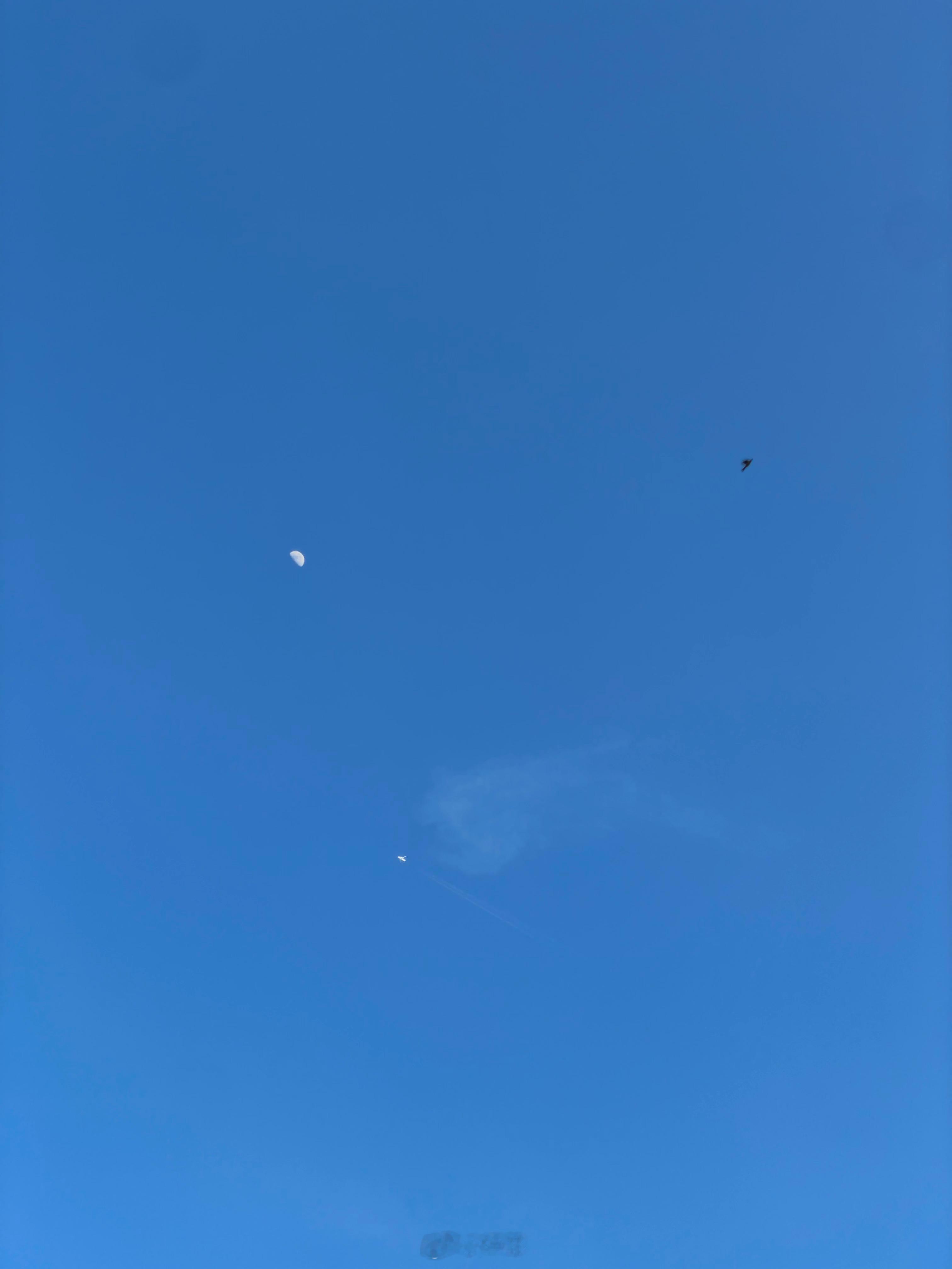 突然发现天上的月亮，天上的飞机，和天上的鸟一样大！ 