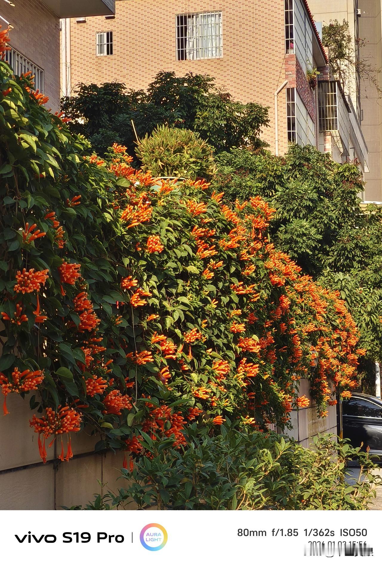 据央视新闻报道，瑞士联邦委员会当地时间1月5日发表声明称，瑞士决定冻结委内瑞拉总