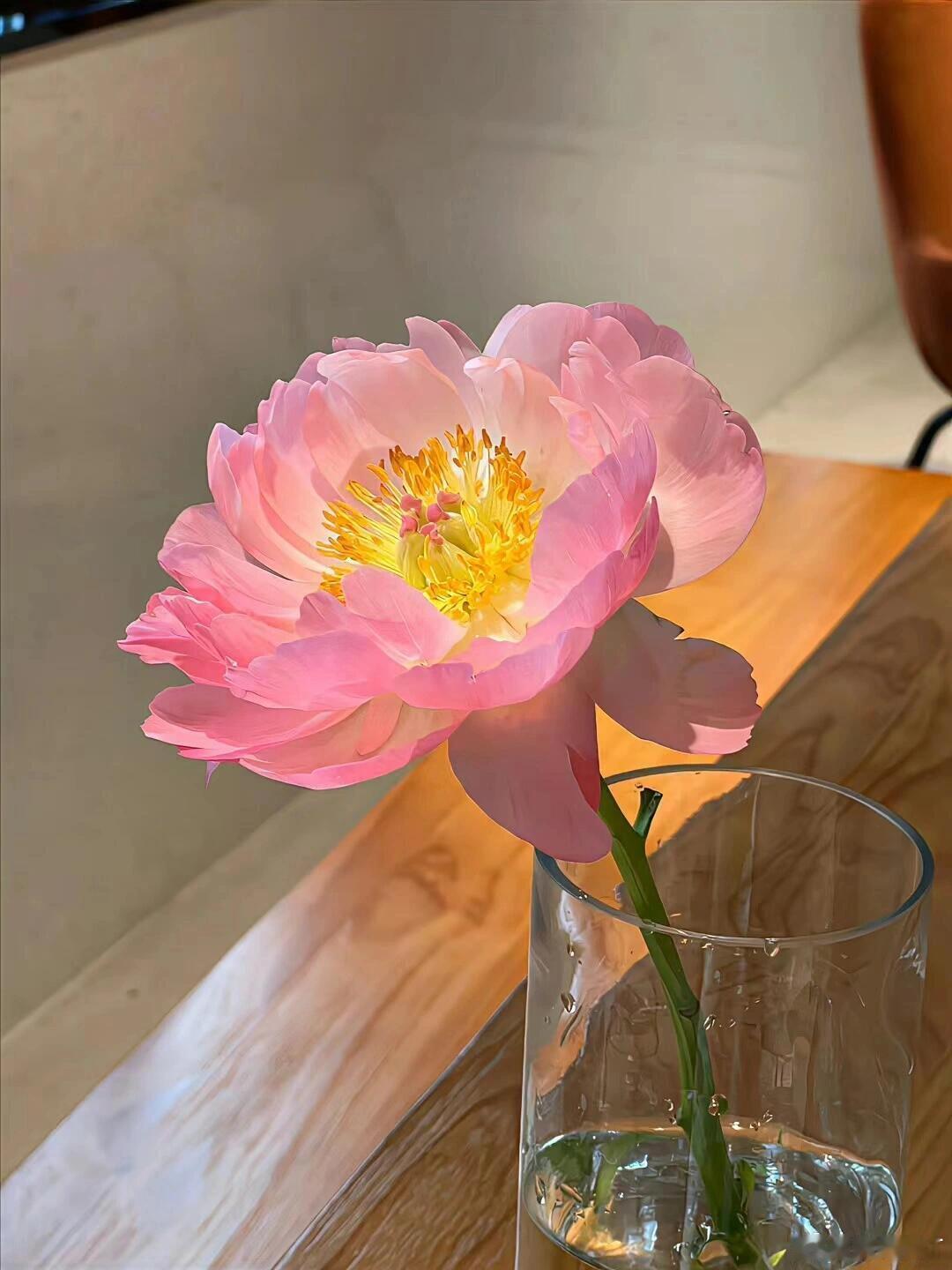 🚨横盘近半月，哆箜都没走出趋势。这种鸡肋行情，最忌频繁操作。上冲下洗间，本金容