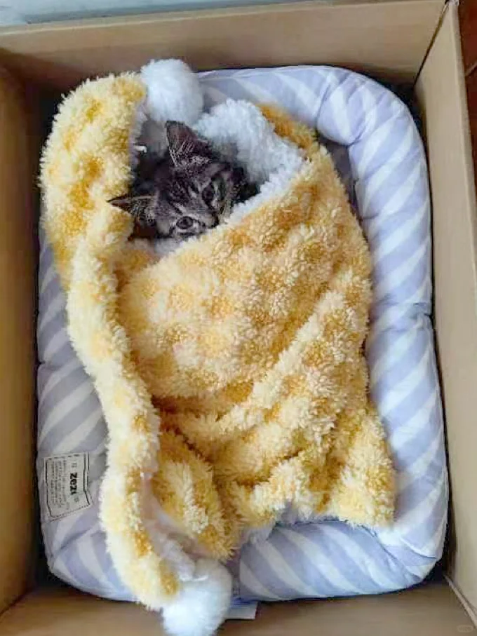 我要碎了……