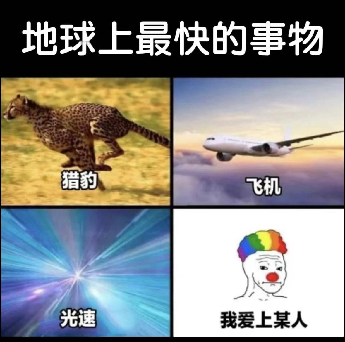 见一个爱一个#meme# ​​​