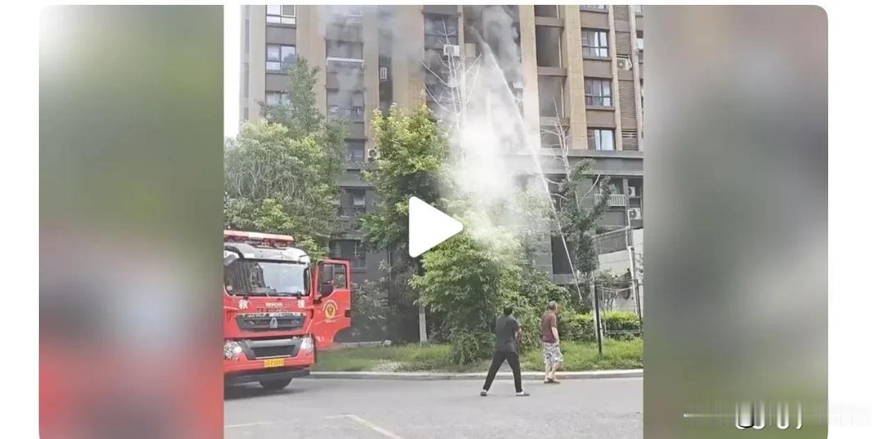 稍微完整点的现场。

楼下确实有绿化带和电箱。但绿化带里的树木不是很茂密，也不是
