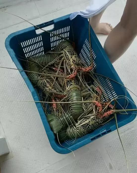 为什么滑雪场老是打架，一起潜水的都很和谐
为什么滑雪场老是打架，一起潜水的都很和