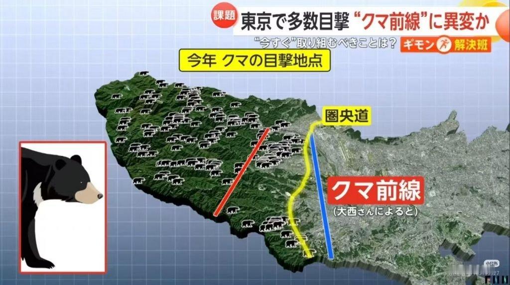 小八嘎们抵挡不住熊的进攻了 [二哈]战报会说谎，战线不会说谎 [笑cry]图源推