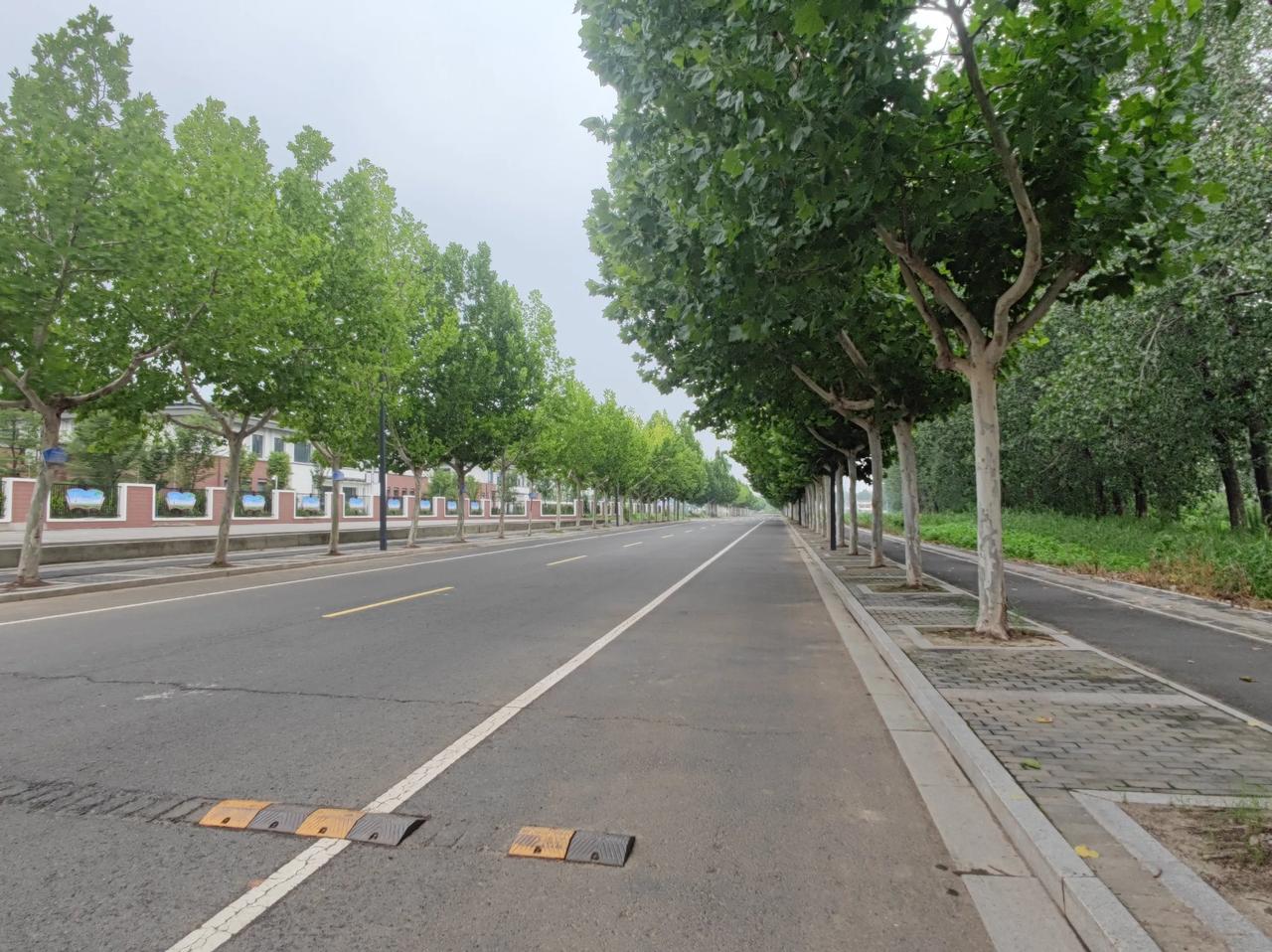 夏日生活打卡季我们小区的后面有一条近2km的林荫大道，是个休闲散步的好地方。