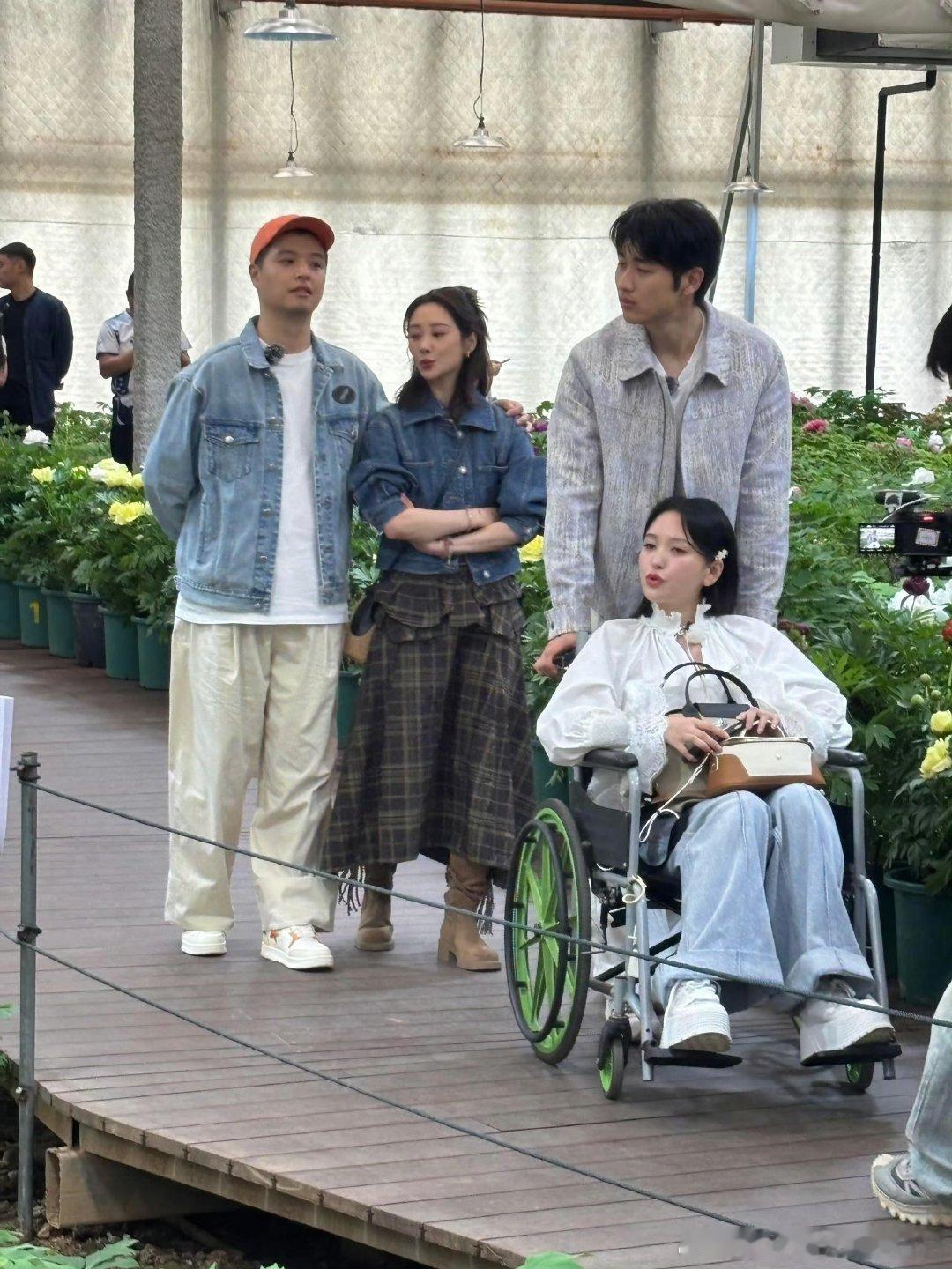 金莎腿受伤了金莎腿怎么了网友偶遇金莎坐着轮椅录制途中突发意外，金莎腿部受伤只能坐