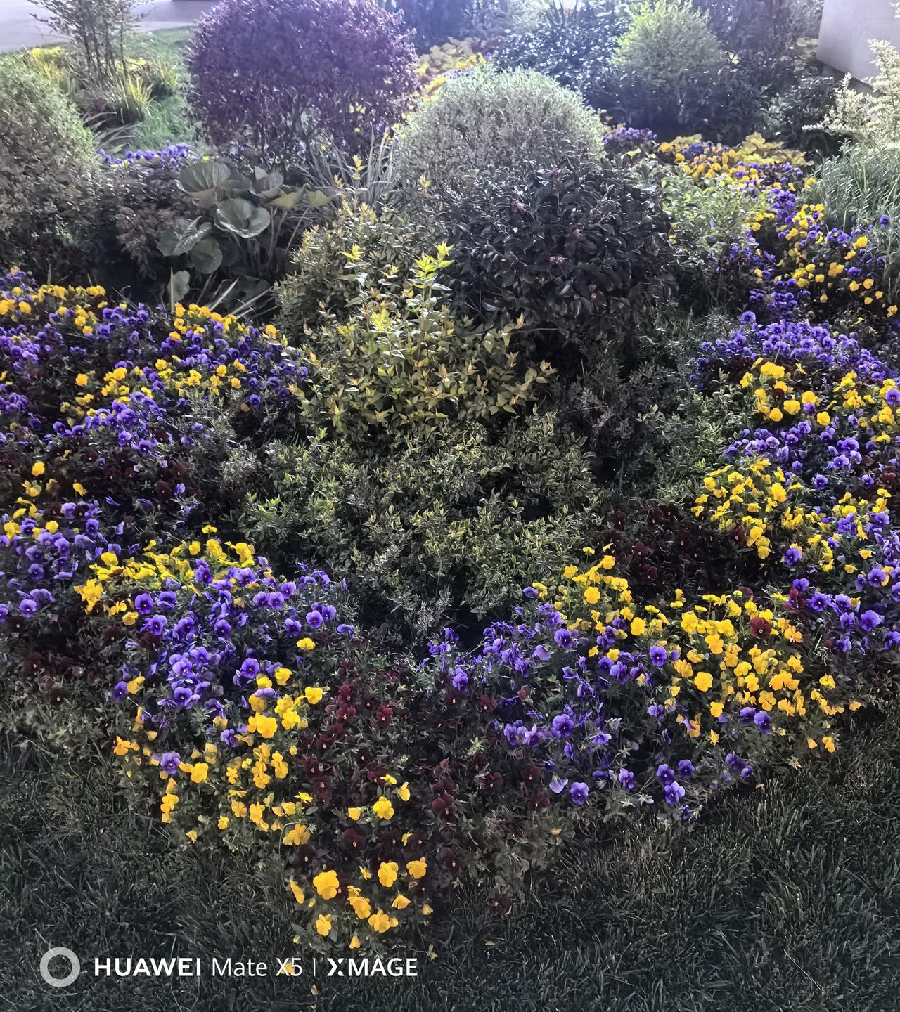 记录我的2026昨天20260413晚饭后，漫步在西影园区，在西影博物馆门前，大