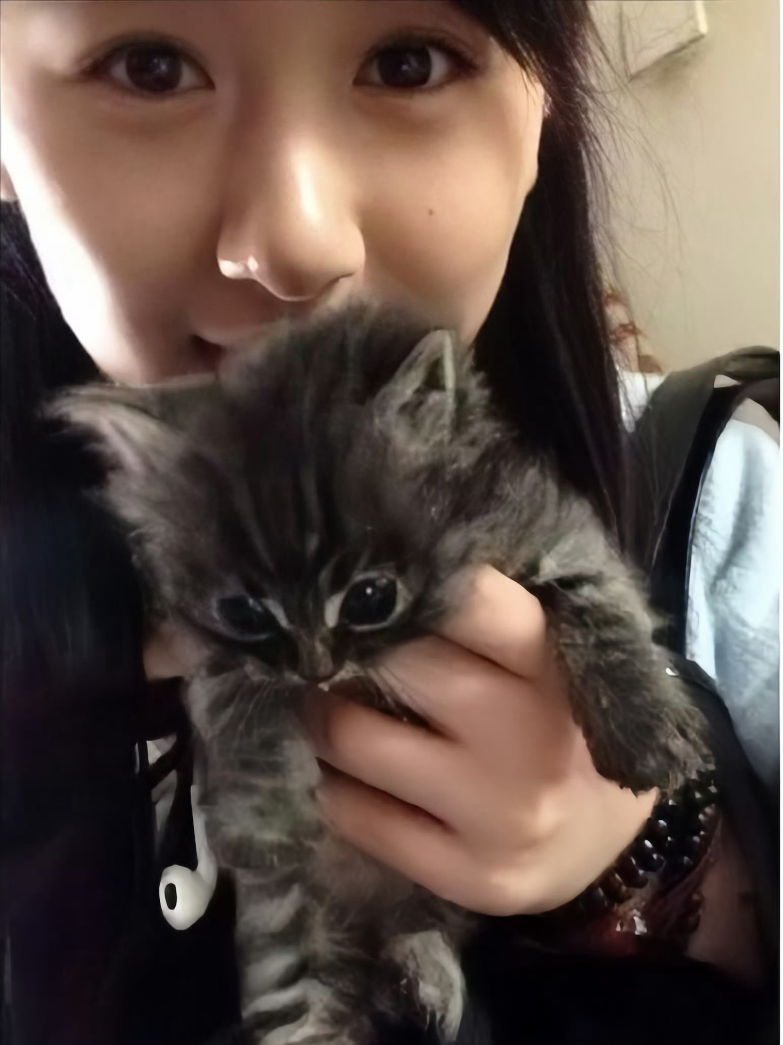 爱心❤️满满的OO，不知道现在O妈给不给养小动物了？[柯基] ​​​