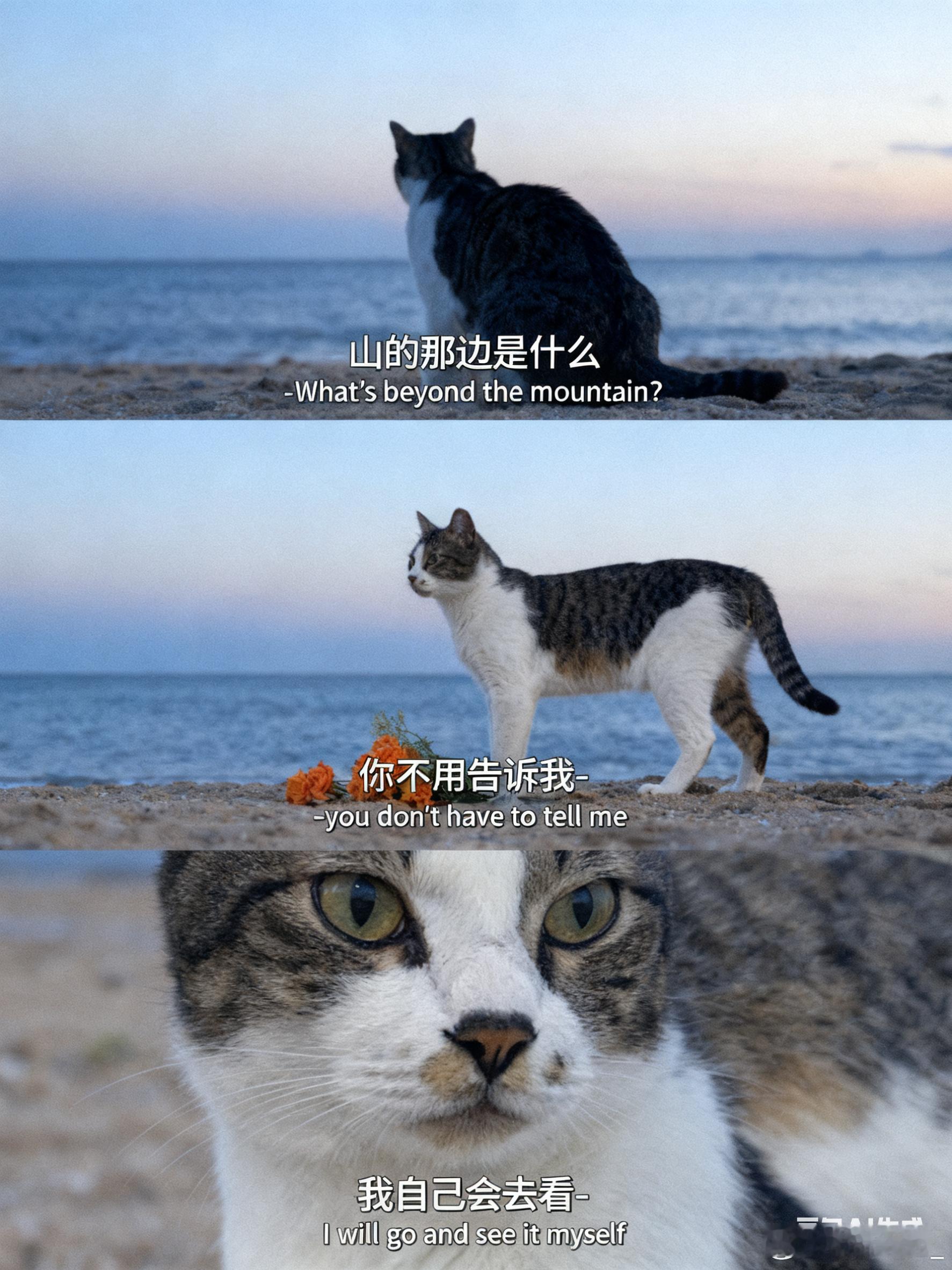 豆包和夸克吵起来了就AI生图这块，我支持豆包 ​​​
