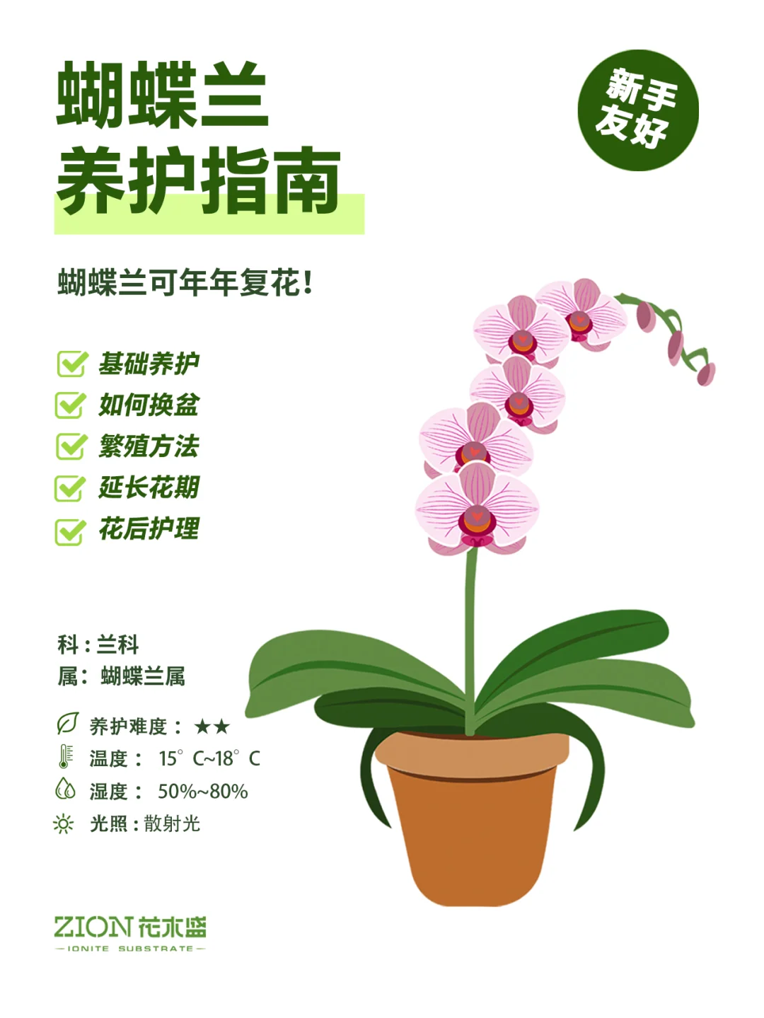 蝴蝶兰养护指南，附延长花期攻略！