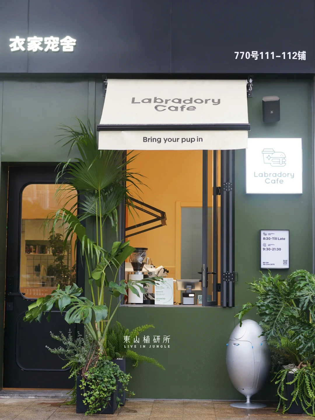 东植x衣家宠舍| 氛围感植物花箱🪴🐾