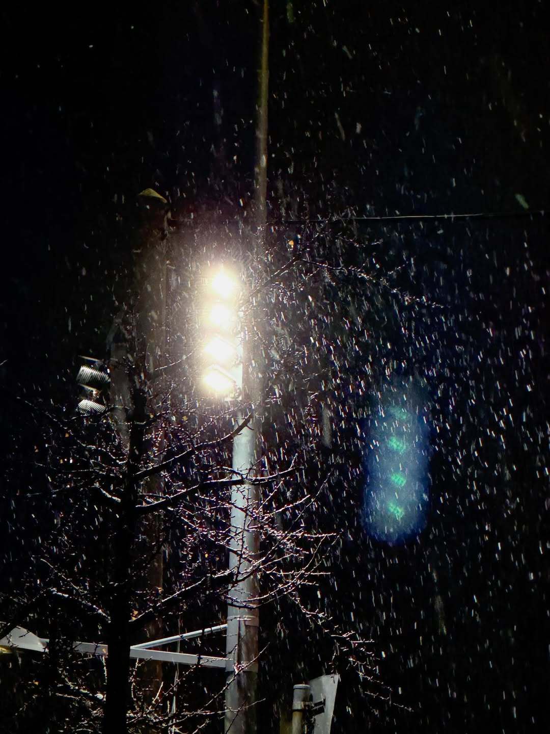 “CB百蓝_。251205李东海 IG更新：❄️ 