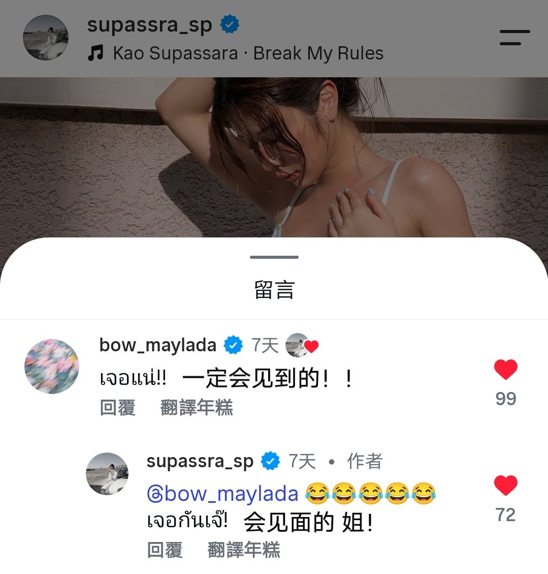 这下好了 热闹了 