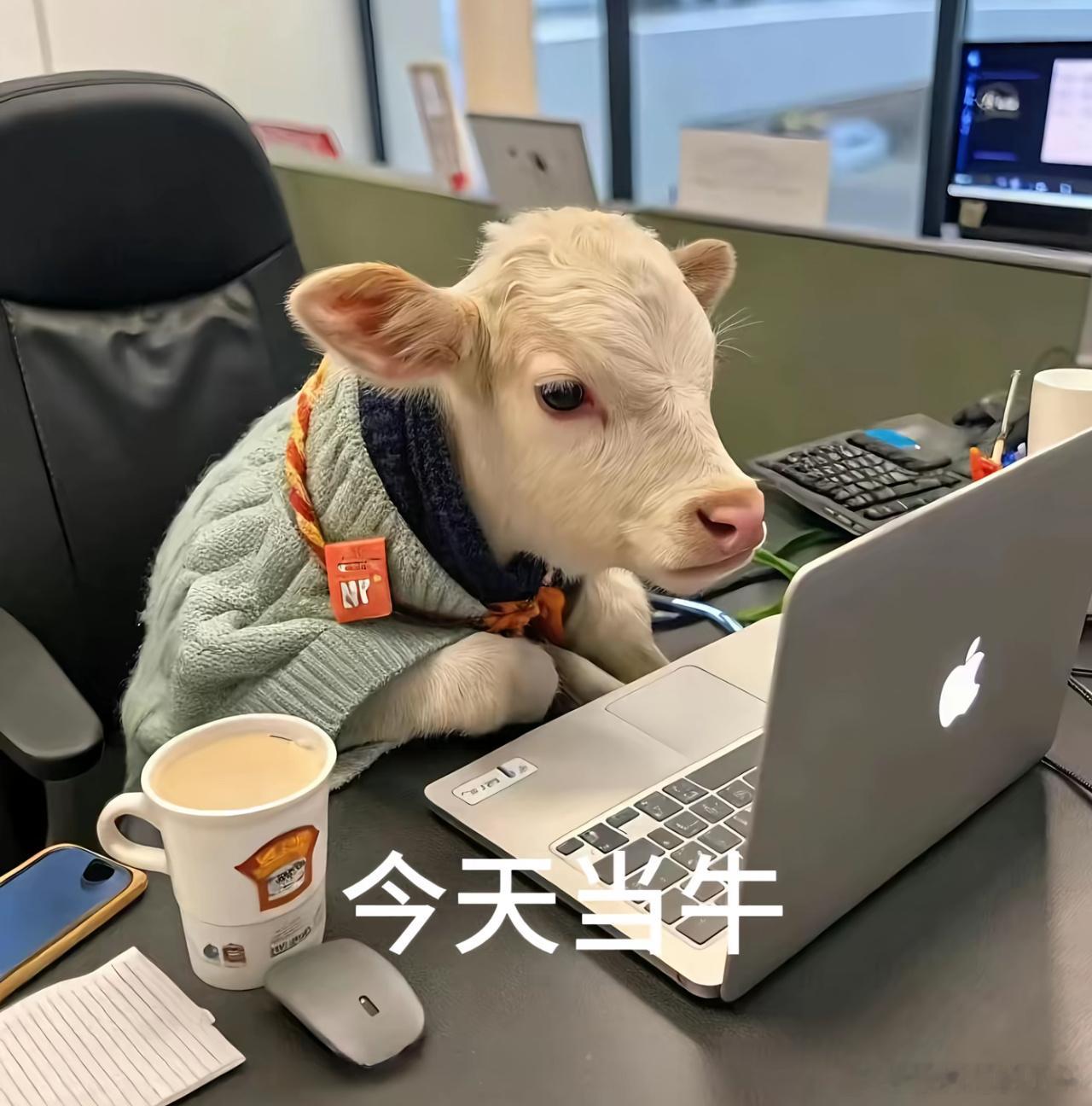 收拾收拾开始下半年的牛马 