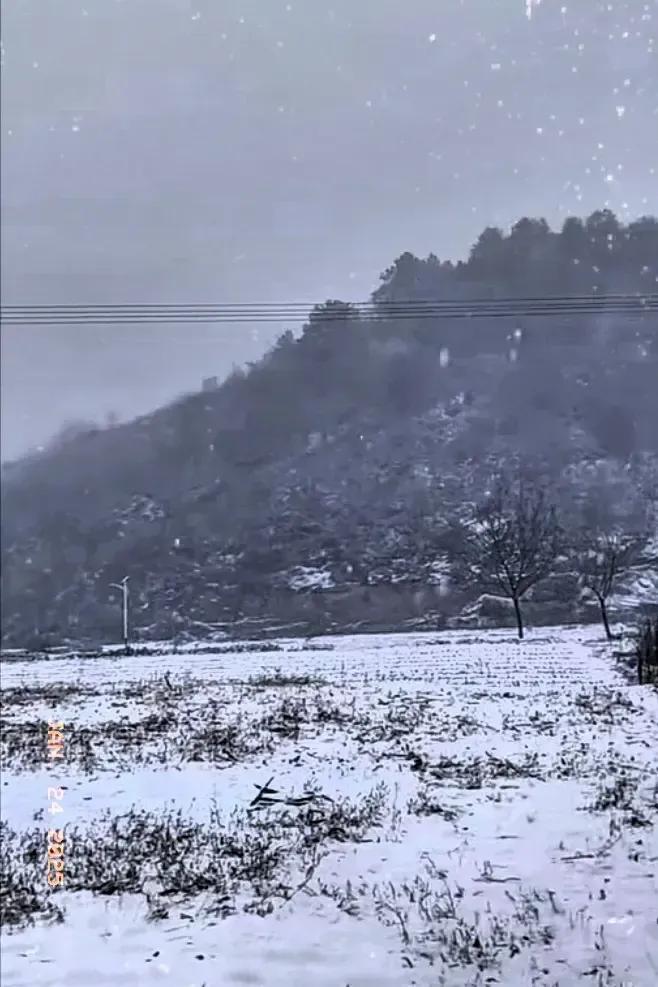 老家下雪了，雪花纷纷扬扬地落了一地，树上、房子上都挂满了雪花。我凝视着天空中的雪