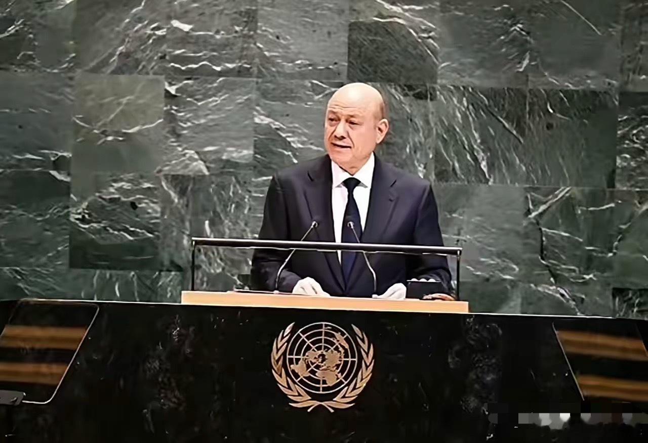 也门合法政府总统呼吁联合国:“应尽快成立国际联盟，打击非法胡塞武装，解放也门刻不