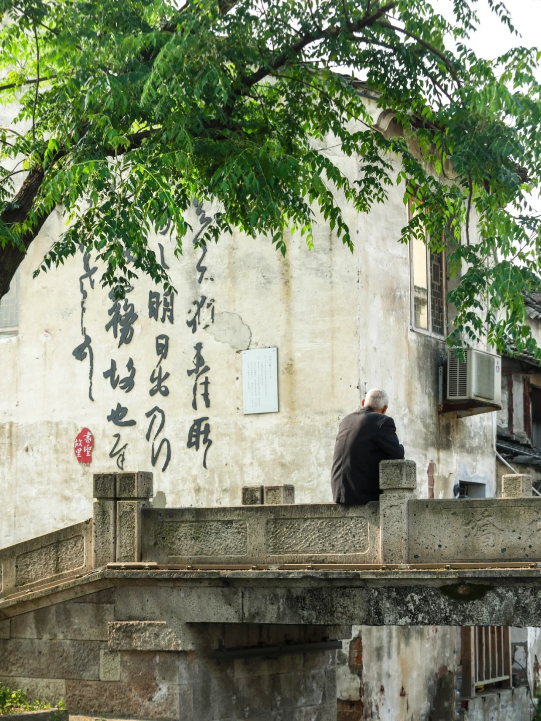 以为杭州已经很美了，直到我来了绍兴……🌿