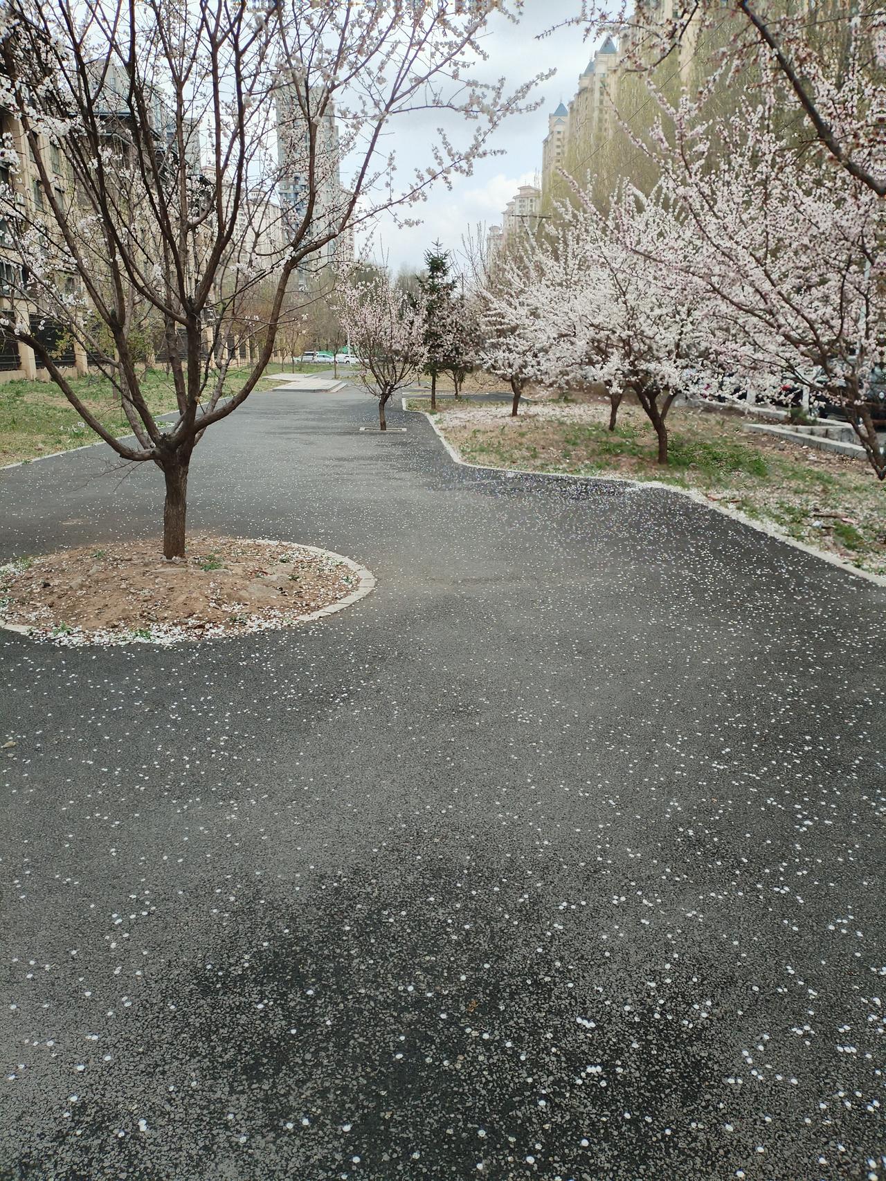 人的一生求什么人真的要离开世间时，没有觉得自己白来一趟就好[大笑]