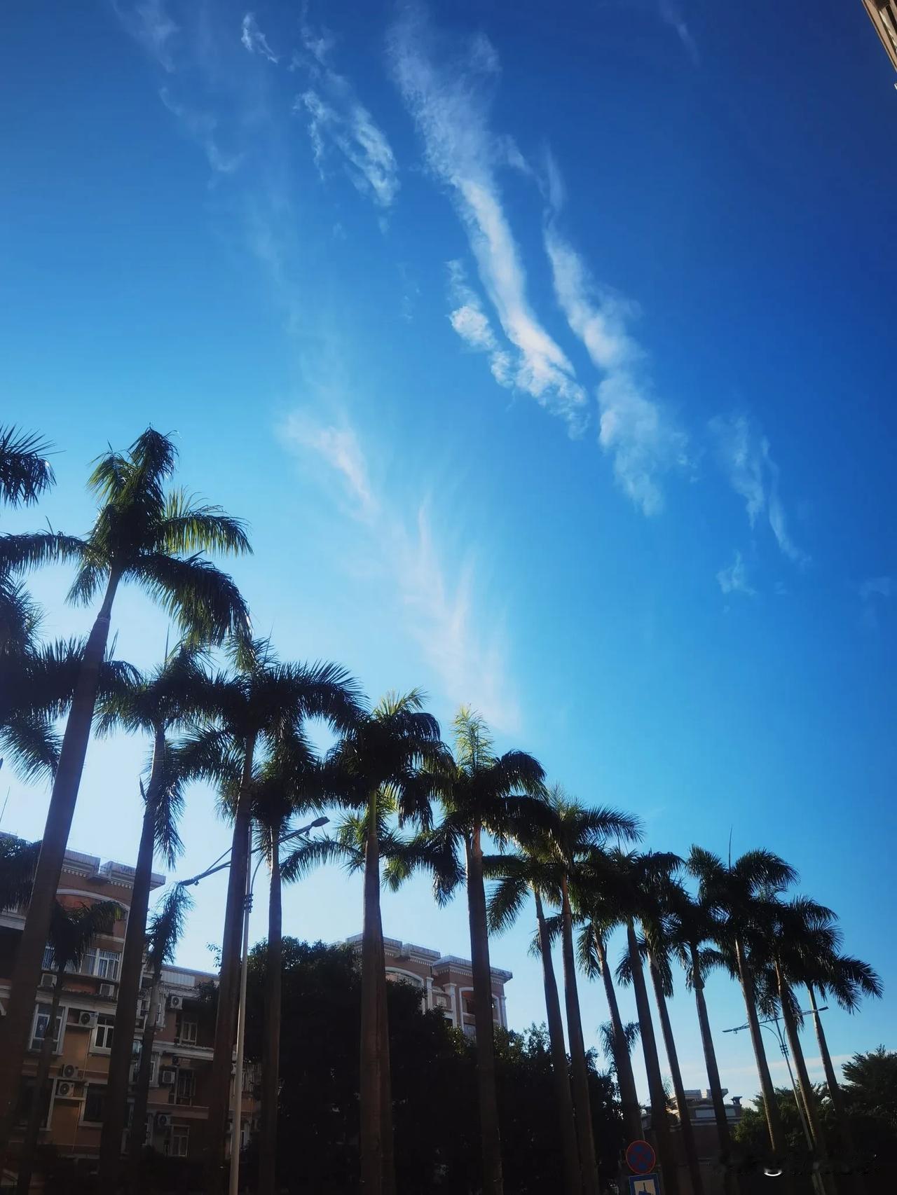 随手拍张天空照今天的天空很特别，分享给大家[比心]