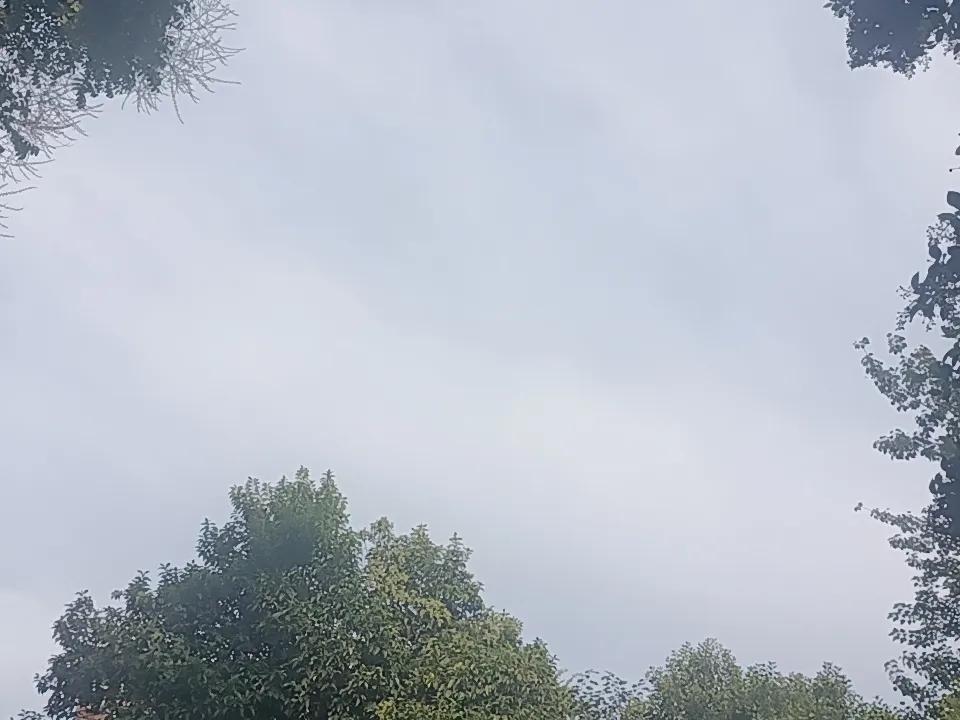 工资是每月发放，一般在签合同的时候，都会明文约定一个固定的时间，比如每月10号或