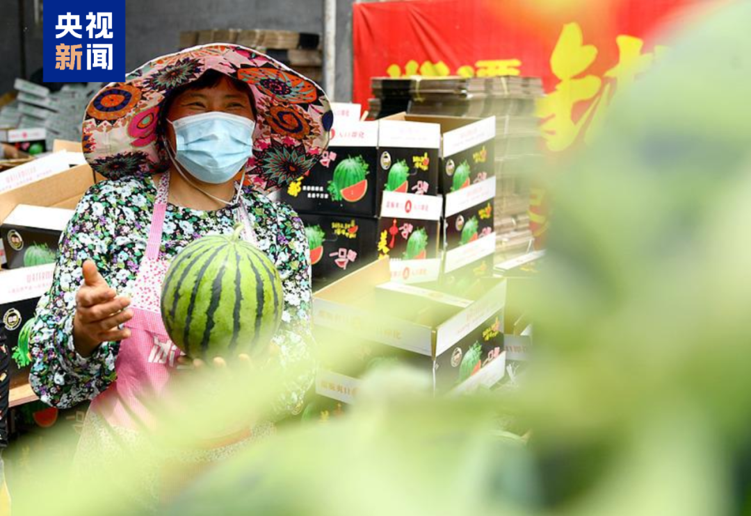 拍拍西瓜就能月入过万?这一新兴职业,火了