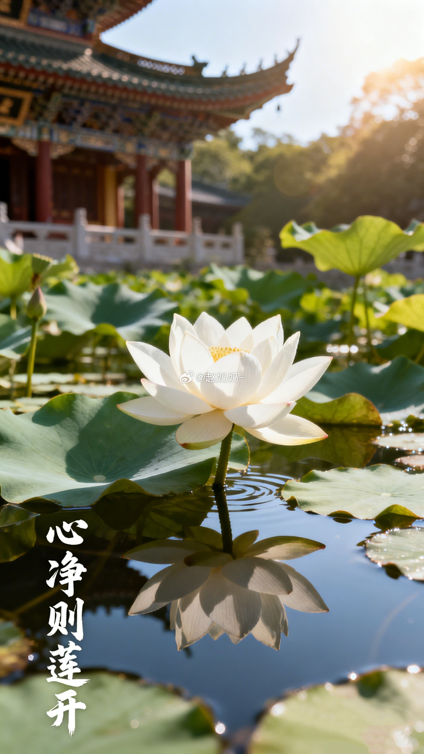 去寺里拜佛，总免不了要求点什么。求财、求姻缘、求个好工作、求个事顺心。还记得徒弟