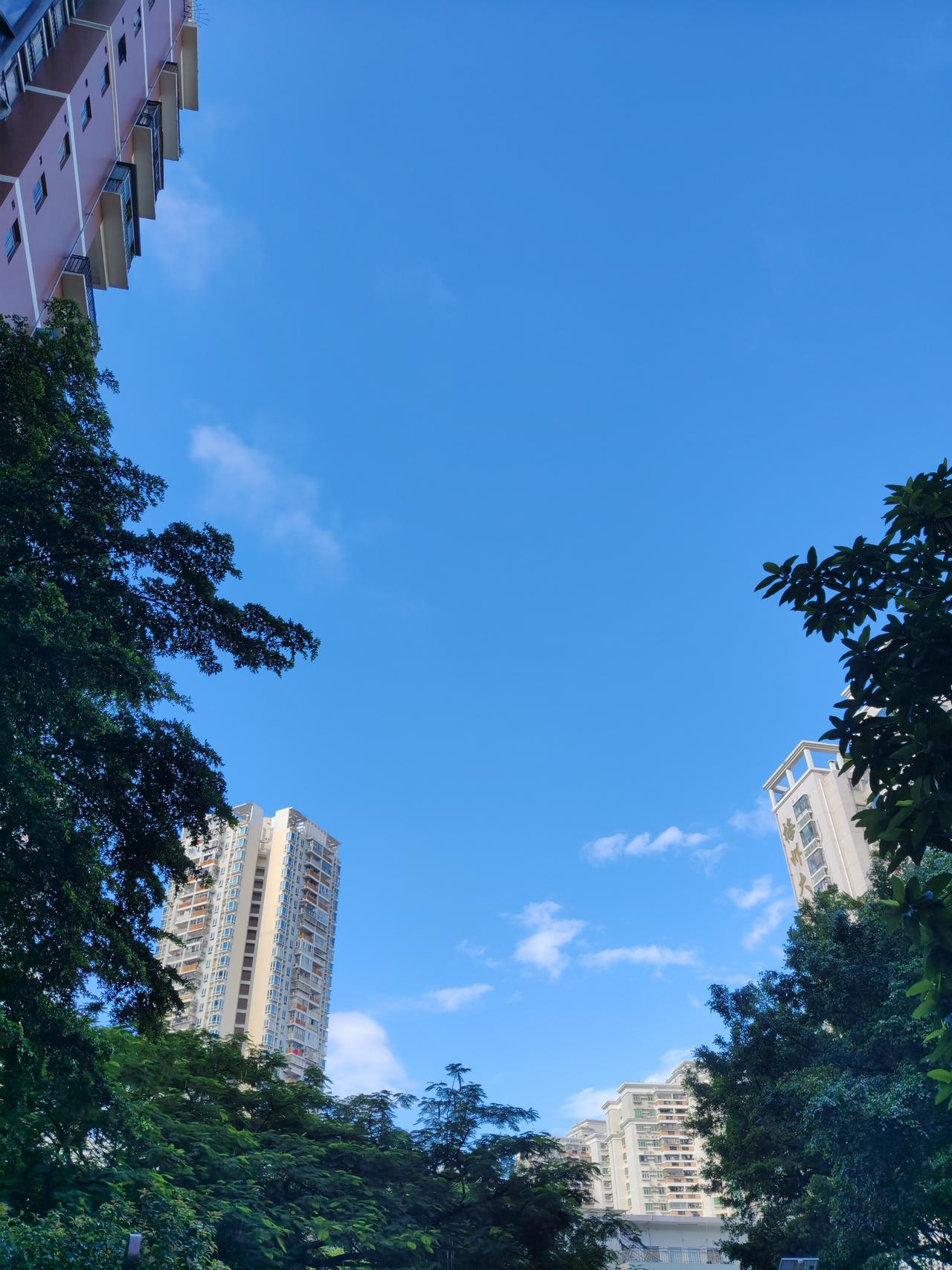 大盘高位时，半仓滚动操盘是个值得考虑的策略。好多散户炒股总陷入满仓进场的死循环，