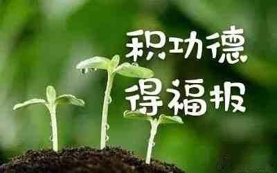 关于福‮：报‬我们这一世，出生的‮候时‬，就带‮一来‬定量的福报。‎ ͏ 我们所