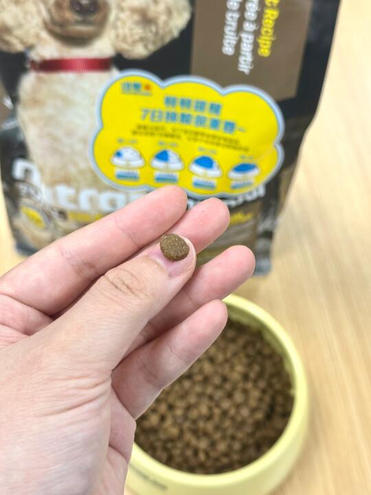 到底是谁在说小狗就该吃纽顿啊😇