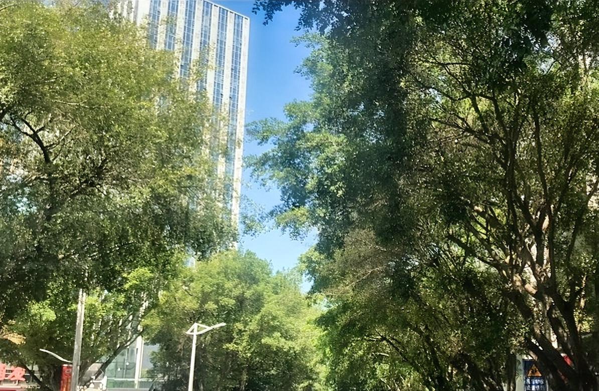 你退休了会选择来北海吗会，百分百会，有海有海鲜，哈哈，谁不爱呢？