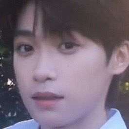 完全一个馒头 