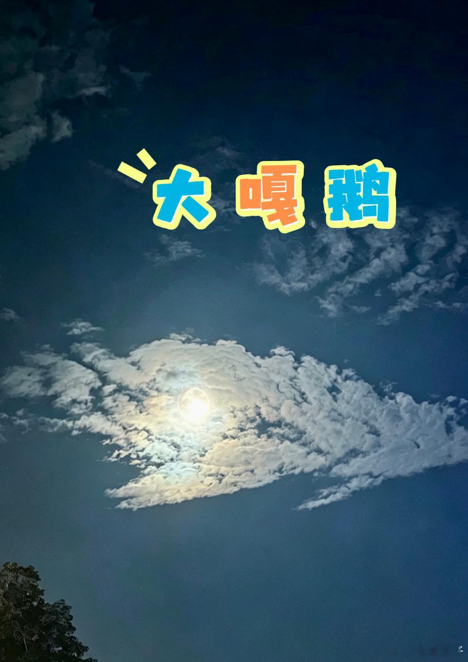 大嘎鹅🦢已热晕，已躺平！！！盐城🆚南京 盐城