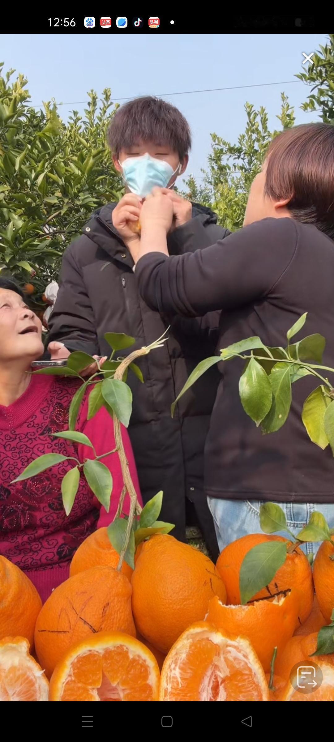 叶锐妈妈剥开的耙耙柑第一个先放进儿子的嘴里 ，孩子戴着口罩在镜头面前不太方便吃 