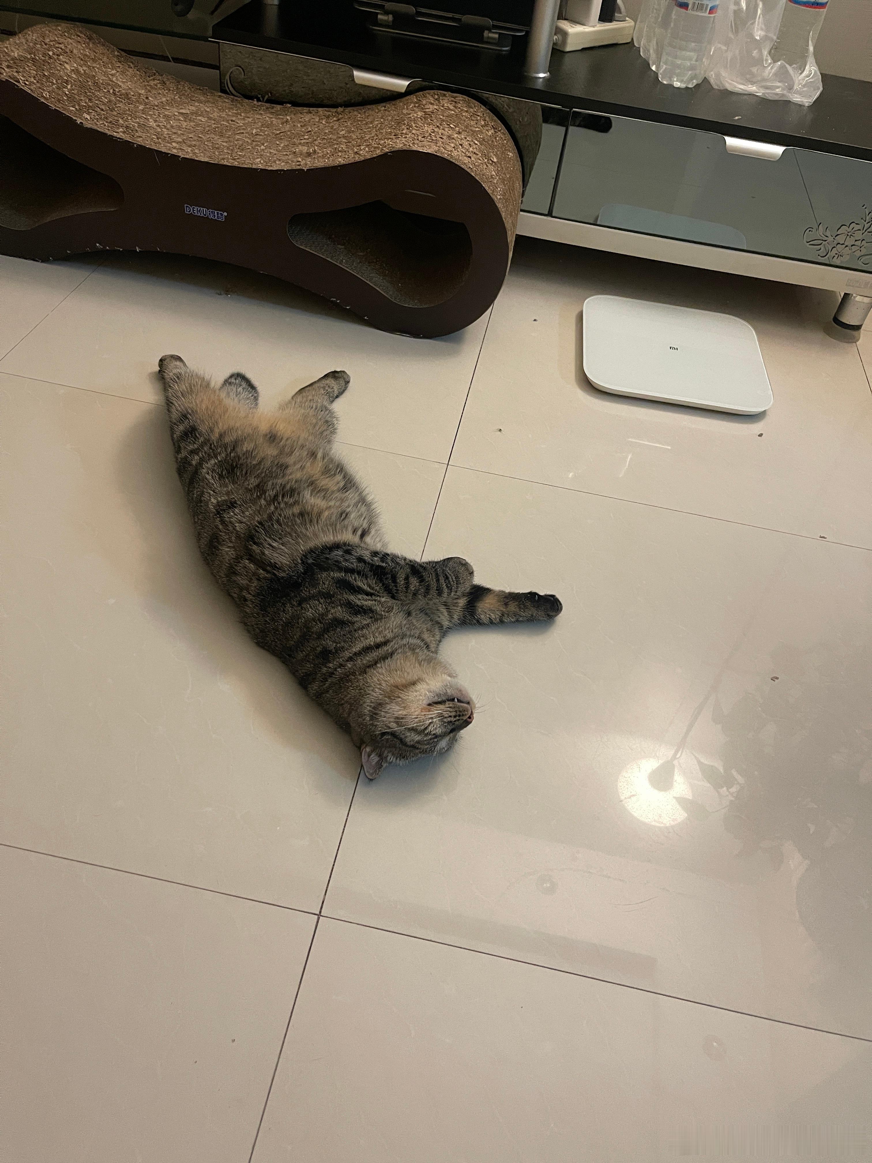 这都怎么睡觉的 