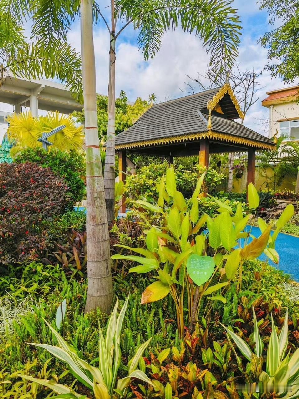 中老铁路上的明珠：邂逅西双版纳站与野象谷货运站的别样风采
 
中老铁路，这条跨越