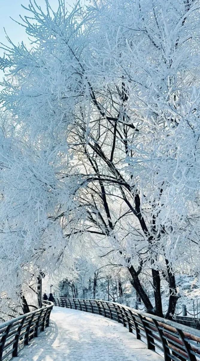 什么天气能冷到停课了，以前条件不好也没到这种地步。小时候棉袄棉裤包裹着，学校教室